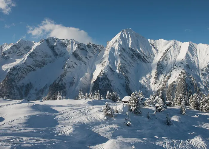 Almhof Roswitha 3* Хиппах