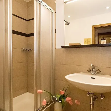 Hotel Almhof Roswitha 3*