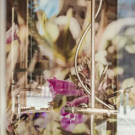 Hotel Almhof Roswitha Hippach