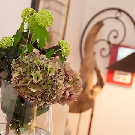 Almhof Roswitha Hotel 3*