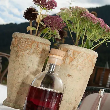 Almhof Roswitha Hotel Hippach