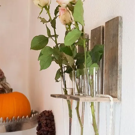 Almhof Roswitha Hippach