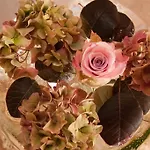 فندق Almhof Roswitha
