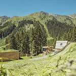 Hotel Almhof Roswitha 3*