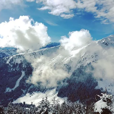 Hotel Almhof Roswitha Hippach