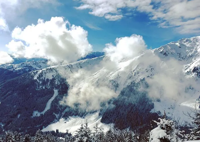 Hotel Almhof Roswitha Hippach