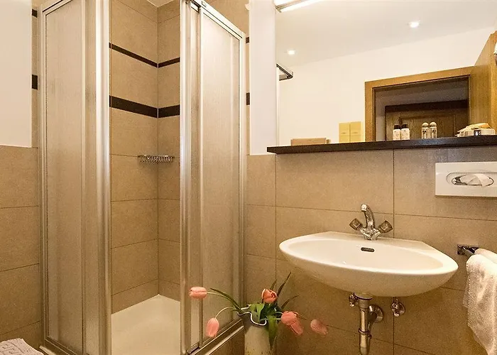 Hotel Almhof Roswitha 3*