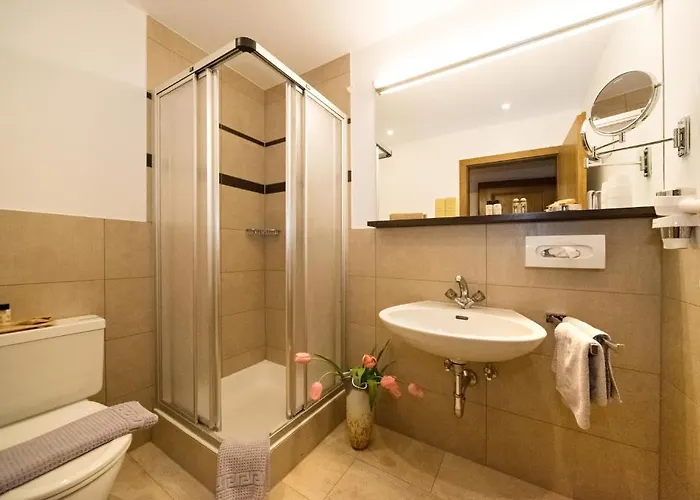 Almhof Roswitha Hotel 3*