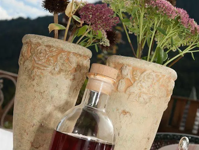 Almhof Roswitha Hotel Hippach