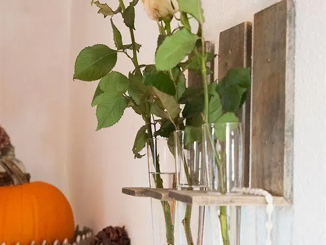 Almhof Roswitha Hippach